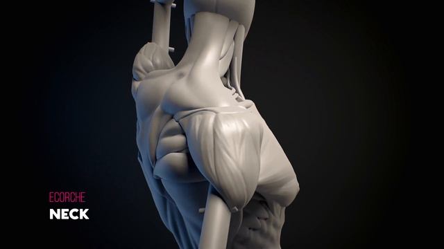 Ecorche process смотреть онлайн