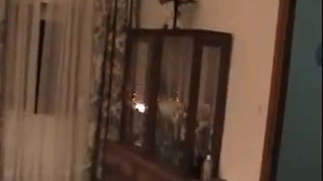 Vitrina Vs Petardo owned смотреть онлайн