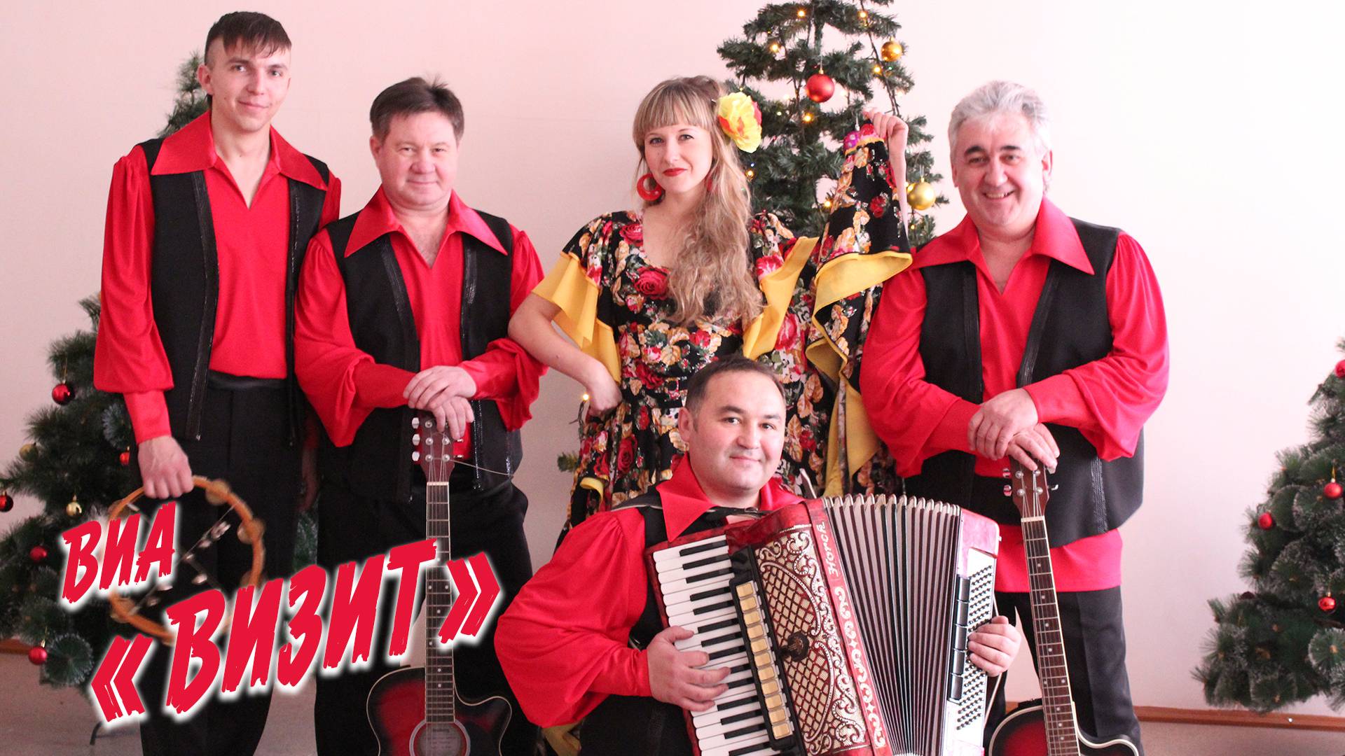 Вокально-инструментальный ансамбль «Визит» смотреть онлайн