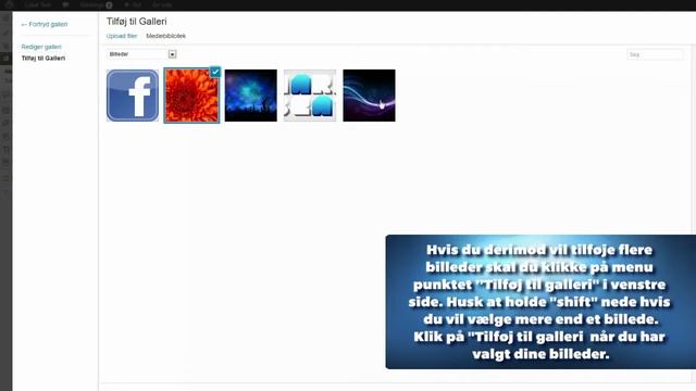 Rediger Galleri i Wordpress смотреть онлайн