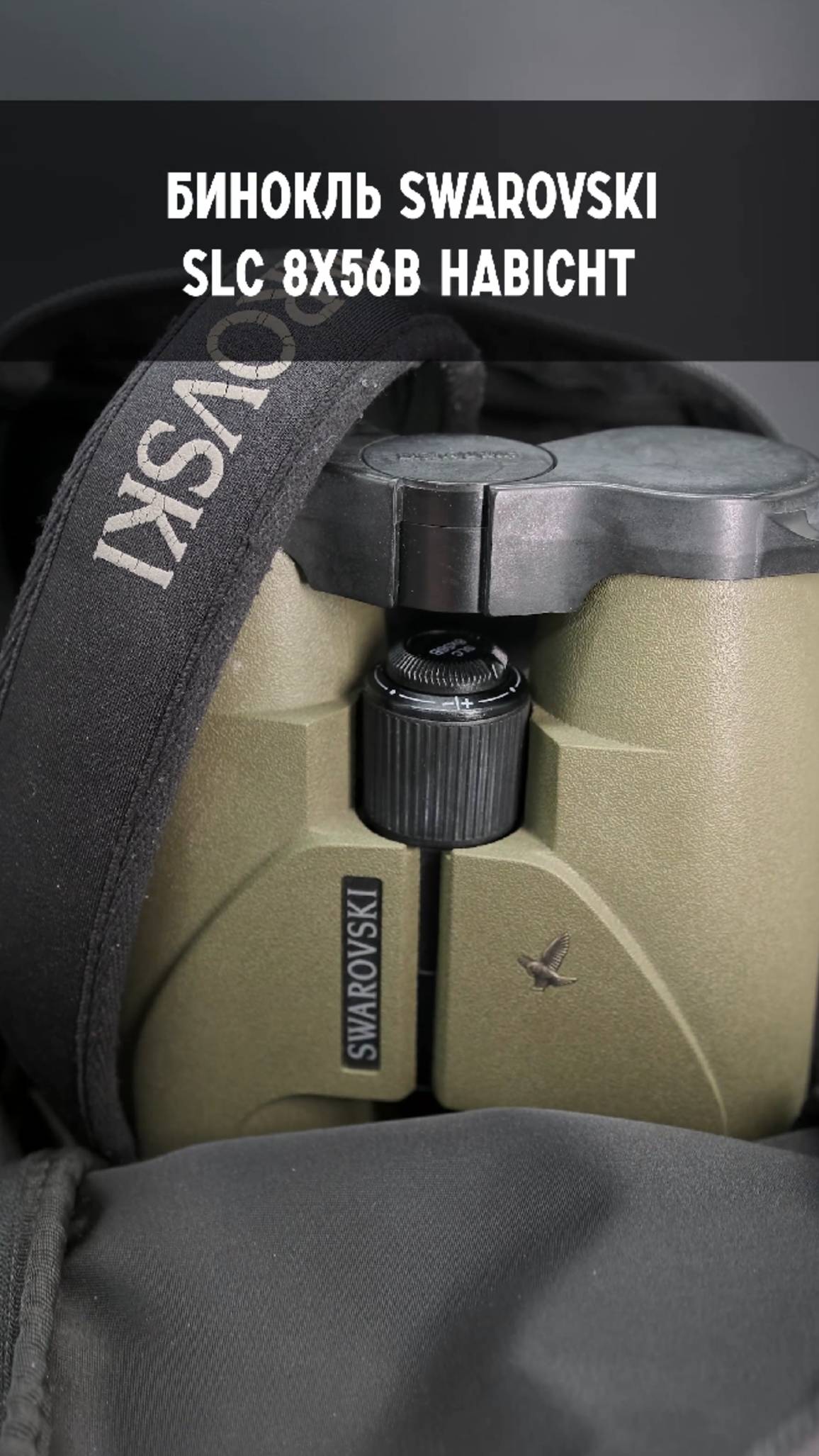 Бинокль премиум-класса Swarovski SLC 8x56B Habicht