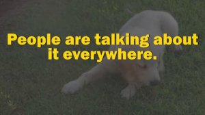 Lesson 45. Something и.т.д.