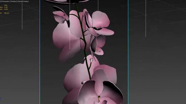 Orchid in glass vase 3D model смотреть онлайн