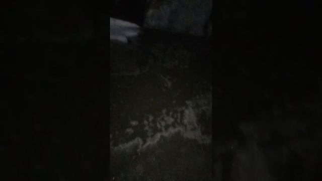 Житикара улица Кооперативная тонет смотреть онлайн