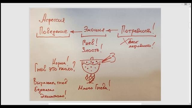 зачем мы злимся⚡