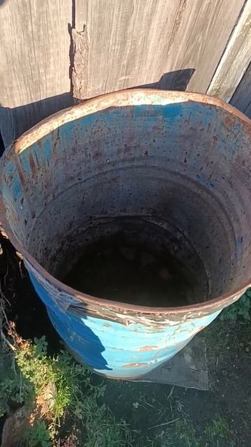 #алюминий #вторсырье #латунь #медь #металокоп #поискметалла #хобби #цветнойметалл #медяха #поискмеди смотреть онлайн