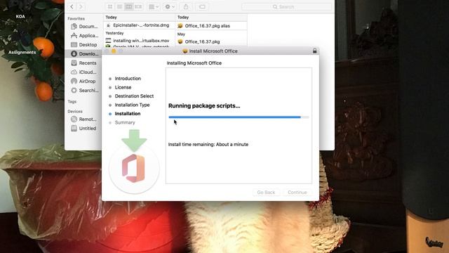 Downloading Microsoft Office package (crack) on MacOS смотреть онлайн