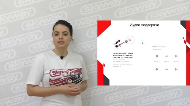 Общая информация о торговой группе Сигналы SKYWAY