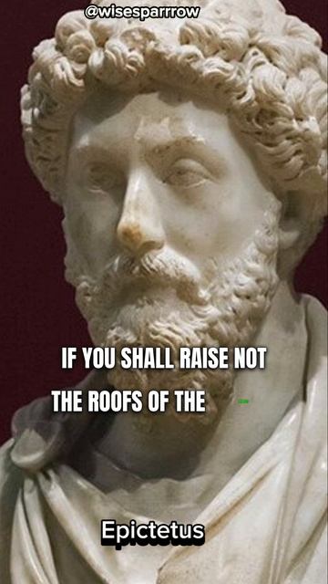 Best Stoic Quote Do Not Ignor #shortsfeed #stoic #stoicism #stoicmindset