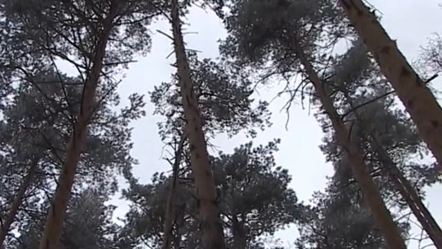 Зима и музыка смотреть онлайн