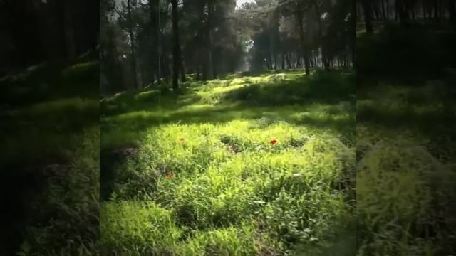 ЛАРИСА ЖУЙКОВА исполняю Караоке cover на Песню "МГК - это не сон" смотреть онлайн