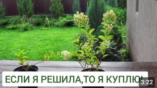 ЕСЛИ Я РЕШИЛА, ТО Я КУПЛЮ! 31.08.2024г. смотреть онлайн