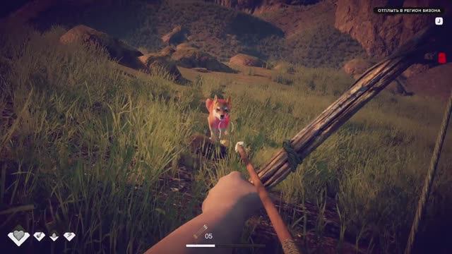 2025 survival fountain of youth #9