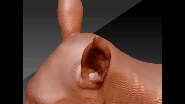 Basic Critter Body Build with Zspheres - ZBrush Snippet смотреть онлайн