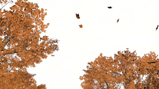 orange leave tress animation 3dmodel | 3dsmax |Vray смотреть онлайн