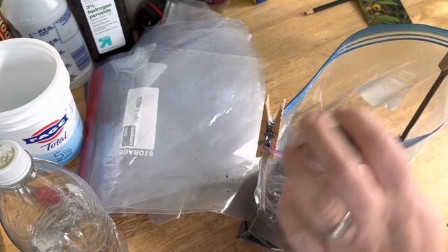 Using Zip Lock Bags for Winter Sowing : The Bittersweet Gardens смотреть онлайн