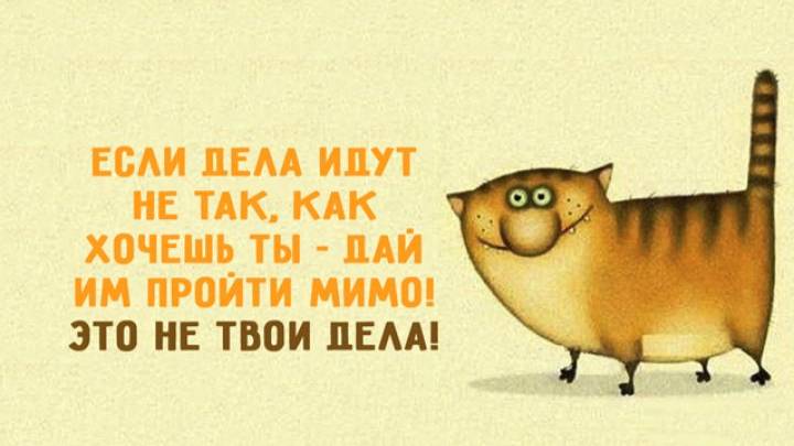 Он бы хотел показать, но не будет... смотреть онлайн