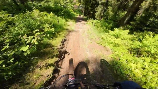 Run #6 / Black trail | Zahar Berkut 2023 смотреть онлайн