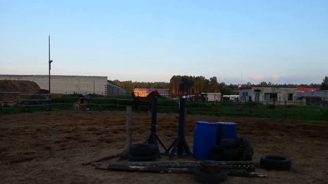 Тропиканка галоп 2 смотреть онлайн