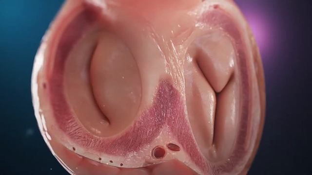 Human Heart Anatomy 2021 (3D Medical Animation) | Made in Blender (3D) | Photo Core смотреть онлайн