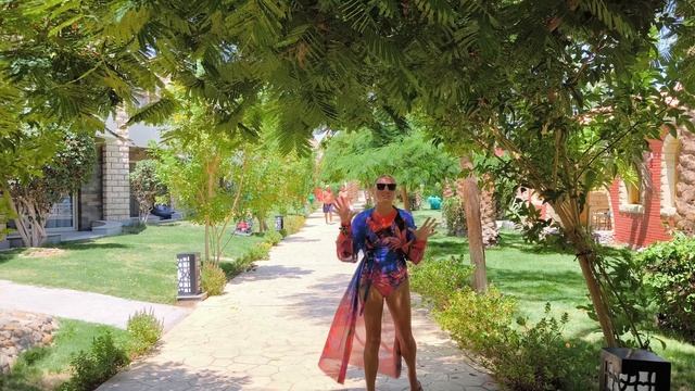 Ali Baba Palace 4* Египет, Хургада Обзор отеля Египет Хургада Сравнили Aladdin смотреть онлайн