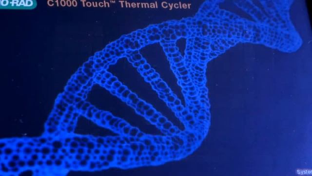 Cellular Insights (Hindi) - Commemorating 30 years of DBT-NCCS смотреть онлайн