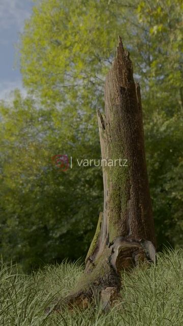 Nature Scene in Blender (breakdown) | Varunartz #shorts #blender #vfx смотреть онлайн