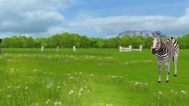 Animal animation elephant, tiger, rhino, zebra @Alle_Animation #short #shorts #animal #shortvideos смотреть онлайн