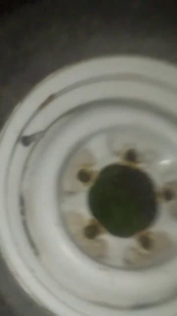 #поискметалла #медь #алюминий #цветнойметалл #медяха #металокоп #поискмеди #латунь #вторсырье #хобби смотреть онлайн