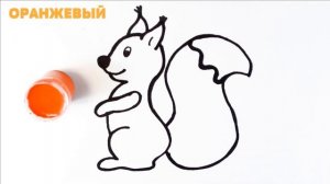 Рисунок маленькой белочки для детей. Как нарисовать белку