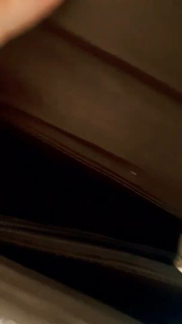 Модная сумка из настоящей змеи за 159 рублей продаю на Авито