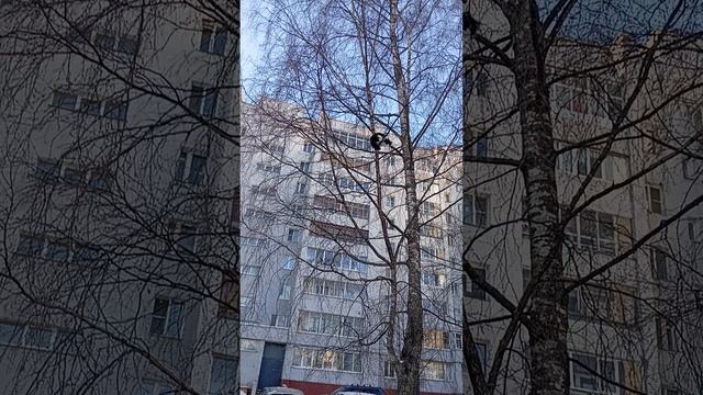 Скоро весна! 🌞 смотреть онлайн