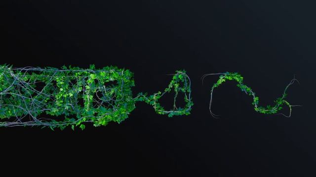 IVY growth смотреть онлайн