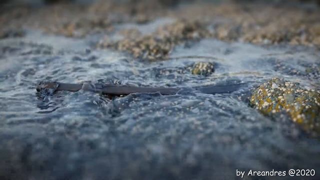 Blender realistic water simulation made with flip fluids addon смотреть онлайн