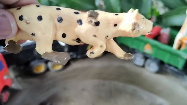 African Rhinoceros African Elephant King Lion 2023 смотреть онлайн