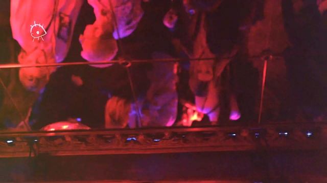 Alex La Cruz Captures Storm Reid, Rita Ora And Others At The Miu Miu AW20 Afterparty