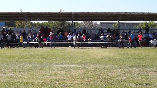 Зигер Украины бэби класс 3 часть смотреть онлайн