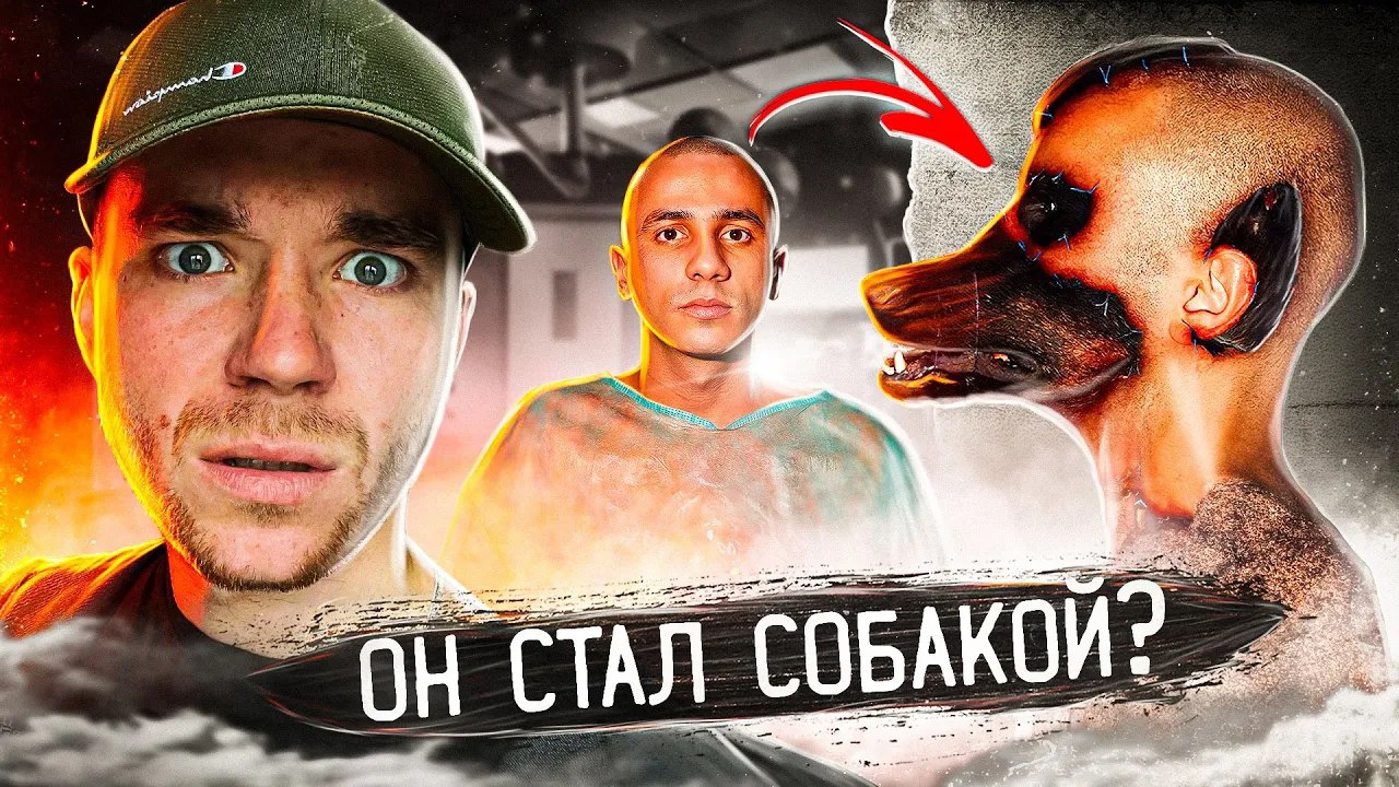 Пересадил лицо СОБАЧКИ.Токсичная КРОВЬ.2 жуткие истории смотреть онлайн