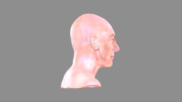 Patrick Stewart Zbrush Turntable смотреть онлайн