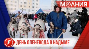 Первый на Ямале День оленевода прошёл в Надыме