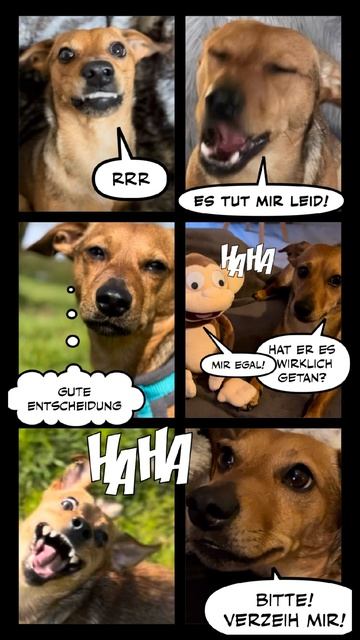 Kurzgeschichte- Comic Style! #shorts #dogs #funny смотреть онлайн