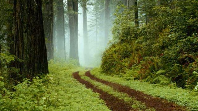 Everton Blender - Family man смотреть онлайн