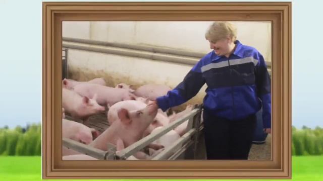 9 Чекулаев Е.В_МАОУ СОШ №7 г. Гай смотреть онлайн