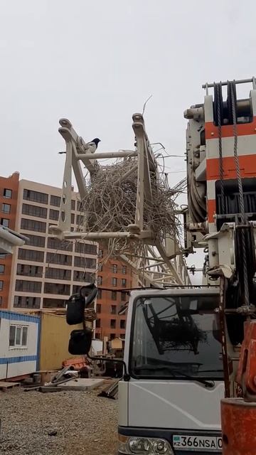 Гнездо сороки на автокране