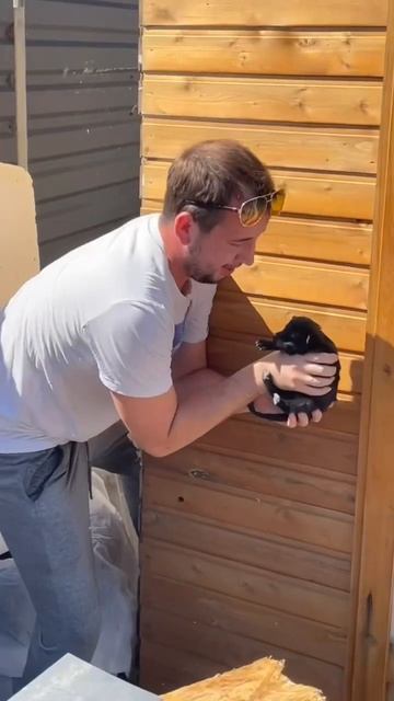 Нашли щеночка под бытовкой смотреть онлайн