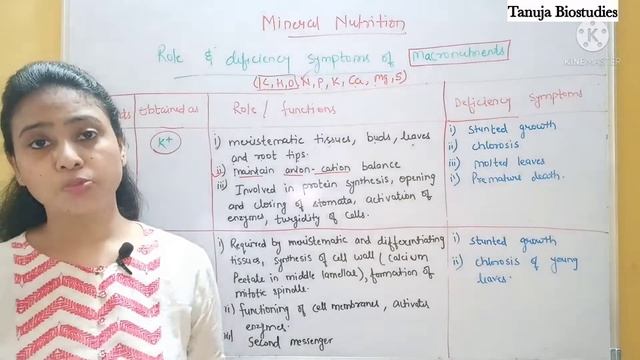 Mineral nutrition - Role and deficiency symptoms of Macronutrients | Class 11 Biology/NEET/AIIMS смотреть онлайн