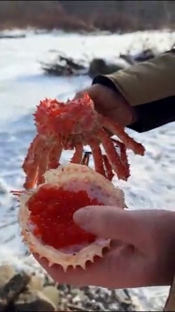 РоТнаОборот