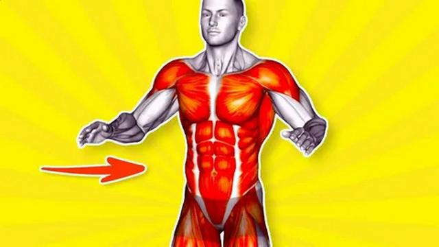 Как убрать живот : эффективная программа для мужчин.