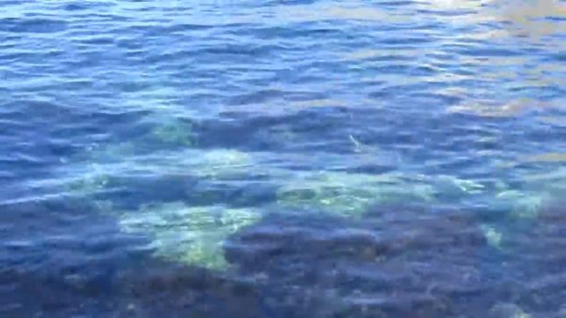 Вода "Изумруд" 2017 смотреть онлайн