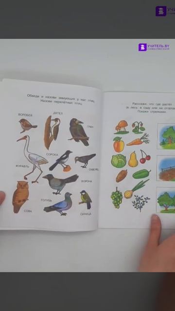 Серия "Умные книжки" Что нас окружает. Познаем мир для детей 5-6 лет смотреть онлайн